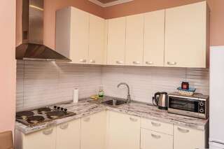 Апартаменты Cozy apartment in a new building close to the downtown Киев Улучшенные апартаменты-8